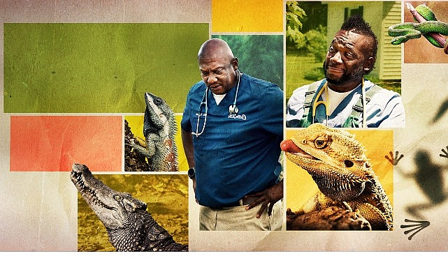 12 B&ouml;l&uuml;mden Oluşan &lsquo;Veteriner Dostlar&rsquo;ın 5. Sezonu,   9 Şubat Pazartesi Saat 20.00&rsquo;de   National Geographic WILD Ekranlarında Başlıyor!