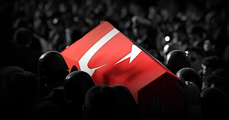 12 can 12 vatan evladı