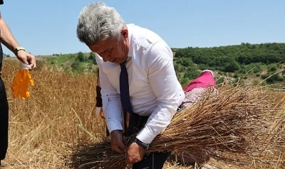 40 Yıl Aradan Sonra Kandıra&rsquo;da Keten &Uuml;retimi Yeniden Başladı