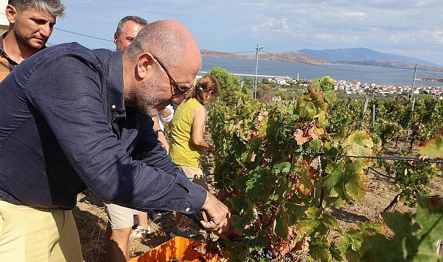6&ndash;7 Eyl&uuml;l&rsquo;de Bir Başkadır Avşa Etkinliği&rsquo;nin Programı A&ccedil;ıklandı