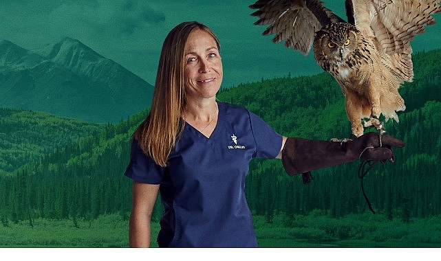 6 B&ouml;l&uuml;mden Oluşan &lsquo;Yukon Veterineri &Ouml;zel&rsquo;,   5. Sezonu İle 4-11-18 Şubat &Ccedil;arşamba Saat 20.00&rsquo;de İki  B&ouml;l&uuml;m Art Arda National Geographic WILD Ekranlarında!