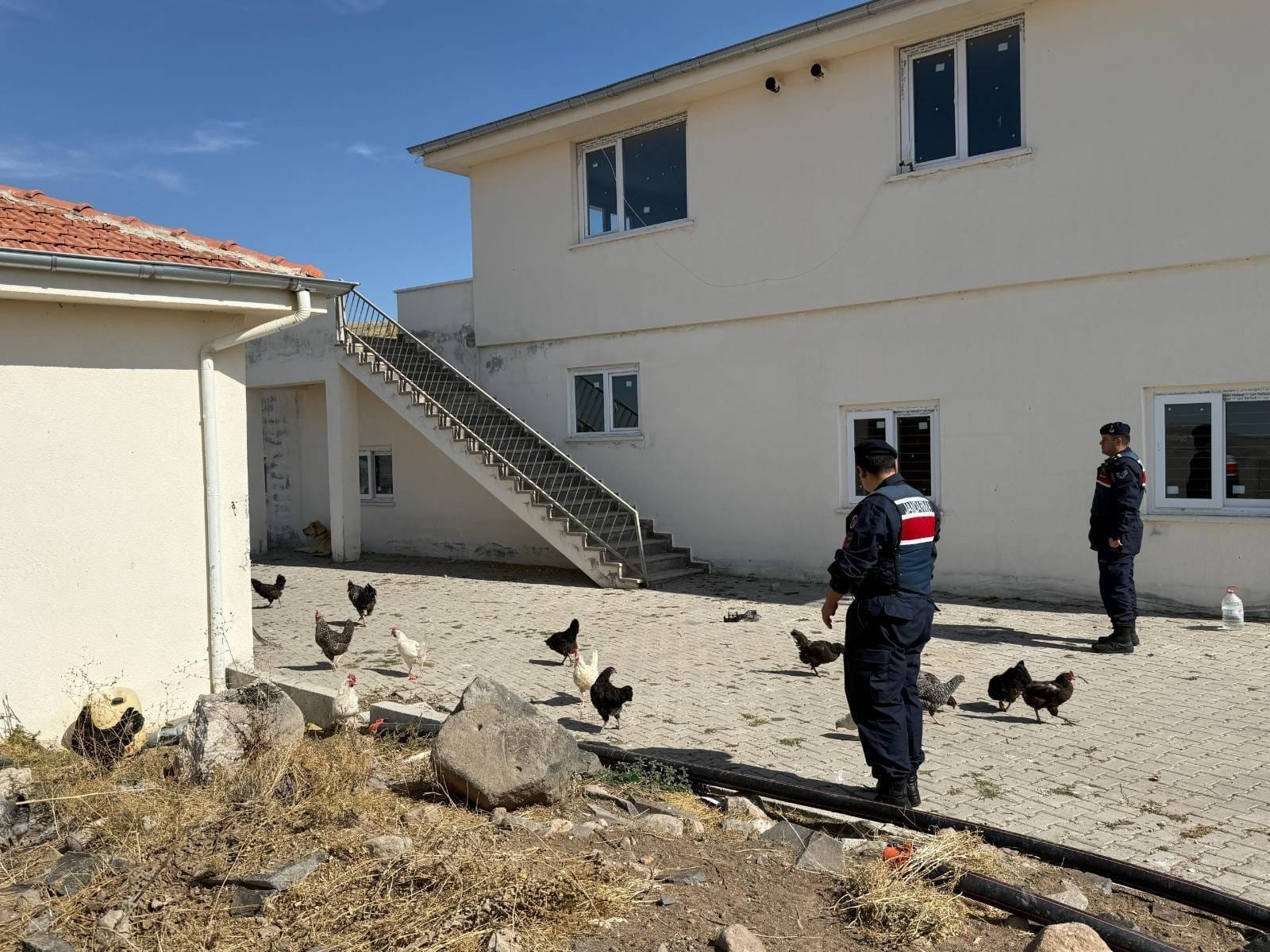 &Uuml;rg&uuml;p&rsquo;te 8 Bin TL Değerinde K&uuml;mes Hayvanı Hırsızlığı &Ccedil;&ouml;z&uuml;ld&uuml;