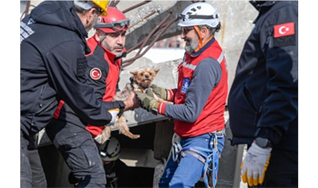 Afetzede hayvanlar i&ccedil;in il&ccedil;elere arama kurtarma eğitimi