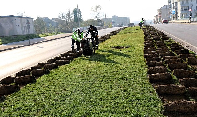 Ağa&ccedil;lar yeni yerlerinde hayat bulacak