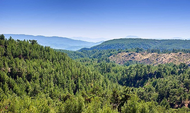 ALJ T&uuml;rkiye&rsquo;den 1.4 Milyon Fidan ile Başlayan Ağa&ccedil; Seferberliği