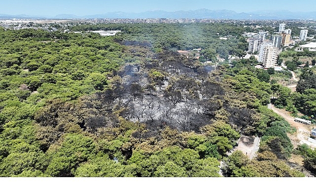 Antalya B&uuml;y&uuml;kşehir Belediyesi İtfaiyesi alevlerle m&uuml;cadelesini s&uuml;rd&uuml;r&uuml;yor