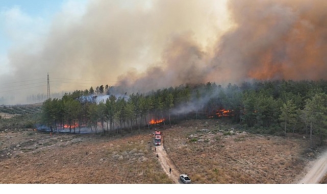 Antalya&rsquo;da 4 farklı noktada orman yangını &ccedil;ıktı