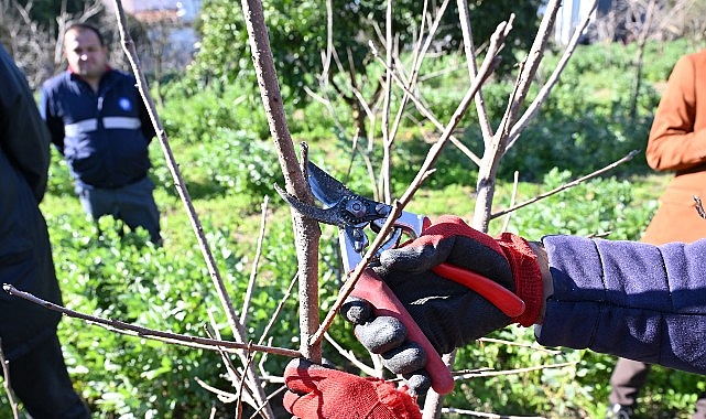 ATASEM&rsquo;de uygulamalı ağa&ccedil; budama eğitimi