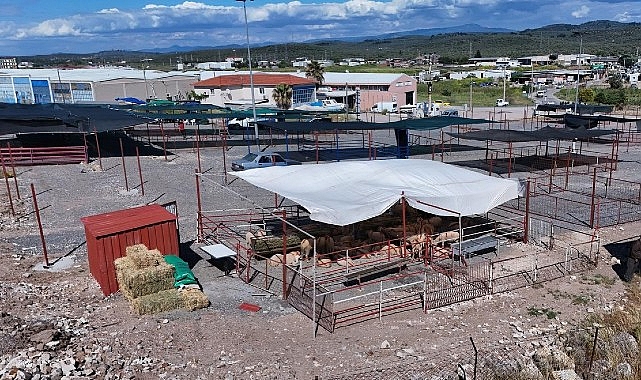 Ayvalık&rsquo;ta Kurban Pazarı Hizmete A&ccedil;ıldı