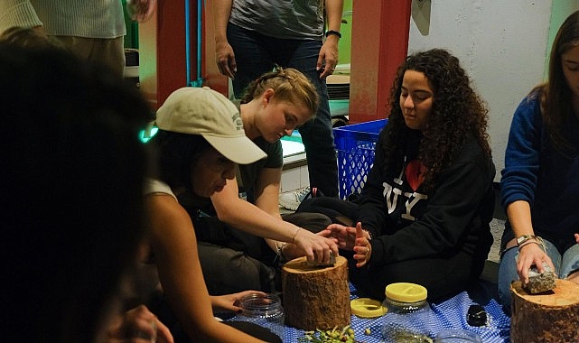 Ayvalık&rsquo;ta Uluslararası Gen&ccedil;lik Projesi Kapsamında Zeytin K&uuml;lt&uuml;r&uuml; Deneyimi