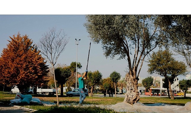 Bal&ccedil;ova Belediyesi'nden Kentin Bereketine Sahip &Ccedil;ıkan &Ouml;rnek &Ccedil;alışma