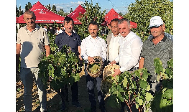 Başkan B&uuml;y&uuml;kakın, İzmit'te &uuml;z&uuml;m hasadına katıldı