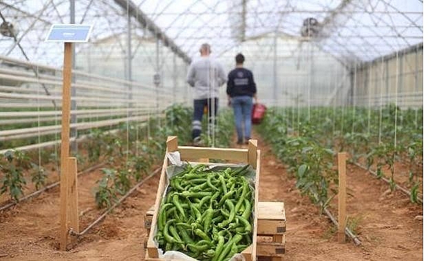 Başkan &Ccedil;er&ccedil;ioğlu&rsquo;nun Tarıma ve &Uuml;reticilere Destekleri S&uuml;r&uuml;yor