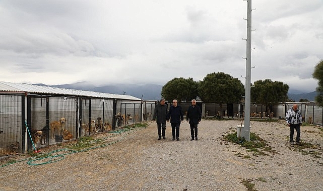 Başkan Ertaş&rsquo;tan sokak hayvanlarına ilişkin a&ccedil;ıklama