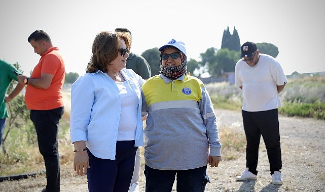 Başkan Gen&ccedil;ay, kekik hasadına katıldı