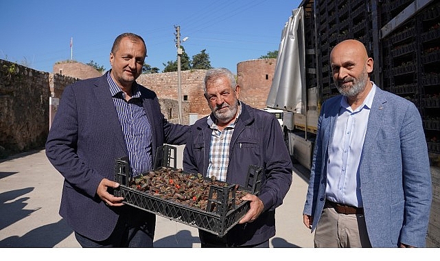Bayram &Ouml;ncesi İznik&rsquo;te Mezarlıklar &Ccedil;i&ccedil;ek A&ccedil;ıyor