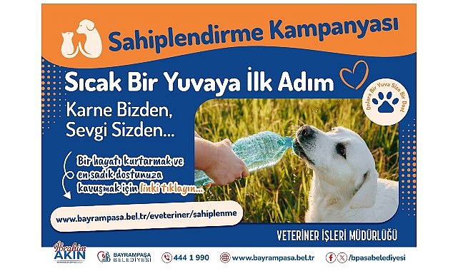 Bayrampaşa&rsquo;da &lsquo;can dostlar&rsquo; yuvalarını bekliyor