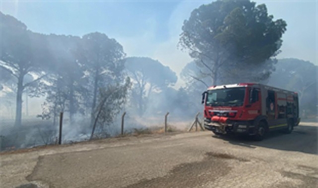 Bergama&rsquo;da orman yangınına m&uuml;dahale ediliyor
