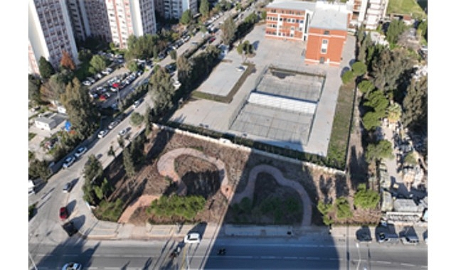 Betonun arasından orman &ccedil;ıktı