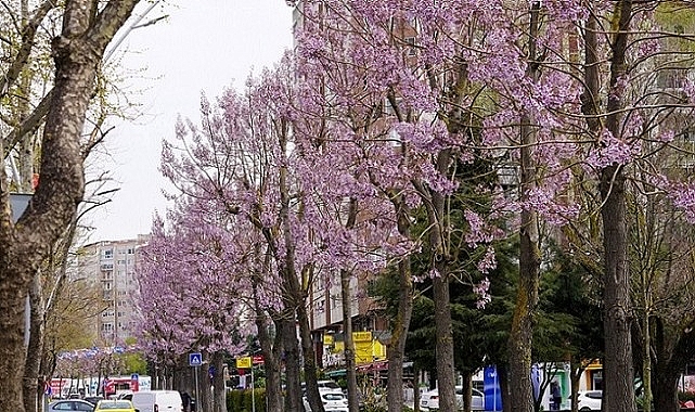 Beylikd&uuml;z&uuml;&rsquo;nde Bahar Mesaisi Başladı