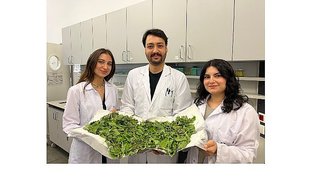 BİLGİ&rsquo;li &ouml;ğrenciler antibiyotik direncine karşı yenilik&ccedil;i ve doğal bir y&ouml;ntem geliştirdi