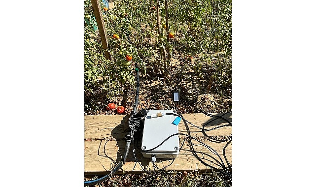BİLGİ&rsquo;li &ouml;ğrencilerden s&uuml;rd&uuml;r&uuml;lebilir tarıma katkı: Elektronik Kontroll&uuml; Damla Sulama Sistemi