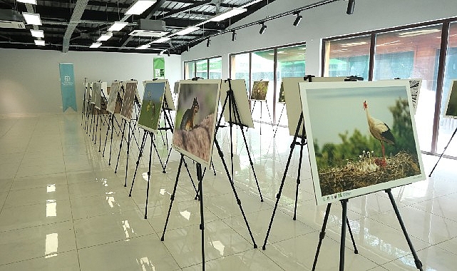 Bu fotoğraf sergisi Ormanya'da g&ouml;rsel ş&ouml;len sunuyor