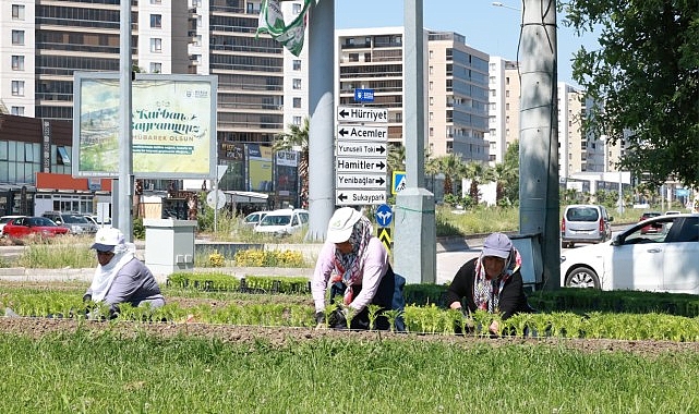 Bu Yaz Osmangazi&rsquo;de &Ccedil;i&ccedil;ek Kokuları Eksik Olmayacak