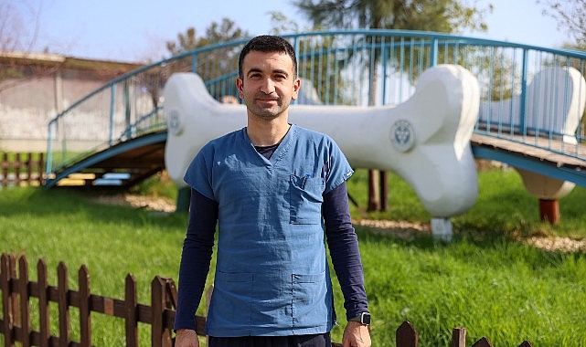 Buca&rsquo;da 3 bin 54 sokak kedisi kısırlaştırıldı