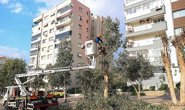 Buca&rsquo;da budama seferberliği