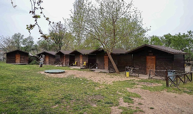 Buca&rsquo;da doğayla i&ccedil; i&ccedil;e sosyal hizmet: Dere Kafe