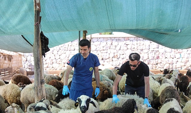 Buca&rsquo;da Kurban Bayramı &ouml;ncesi sıkı denetim