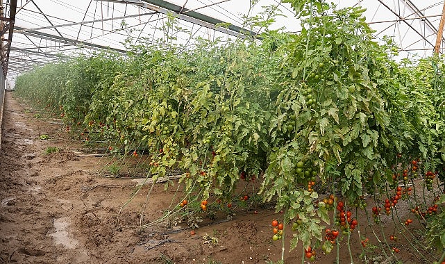B&uuml;y&uuml;kşehir Belediyesi Aksulu &ccedil;ift&ccedil;ilerin yanında