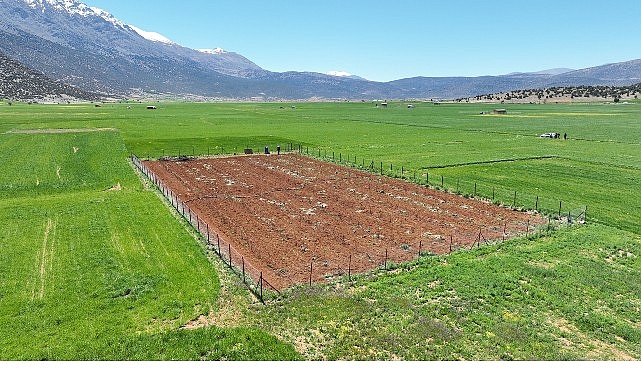 B&uuml;y&uuml;kşehir Belediyesi&rsquo;nden tarımsal sulamaya b&uuml;y&uuml;k destek