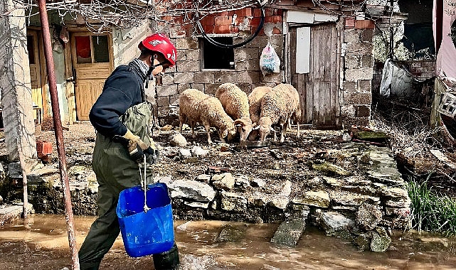 B&uuml;y&uuml;kşehir ekipleri t&uuml;m canlılar i&ccedil;in aynı &ouml;zveriyle &ccedil;alışıyor