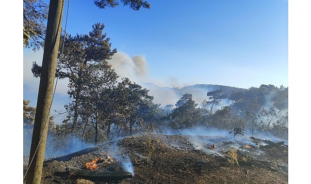 B&uuml;y&uuml;kşehir ekiplerinden Akhisar&rsquo;daki yangına m&uuml;dahale