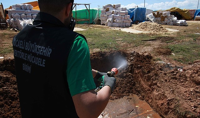 B&uuml;y&uuml;kşehir, kurban pazar yerlerini ila&ccedil;lıyor