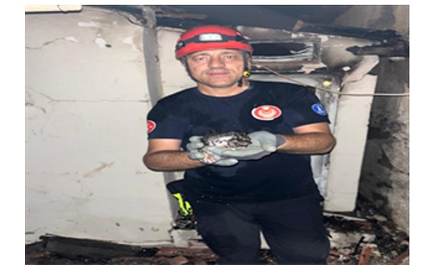 B&uuml;y&uuml;kşehir yangın b&ouml;lgelerindeki t&uuml;m canlıların yardımına koştu