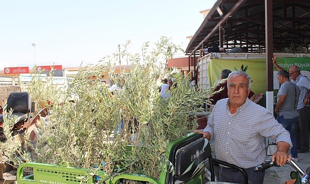 B&uuml;y&uuml;kşehir&rsquo;den 19 il&ccedil;eye 40 bin zeytin fidanı desteği
