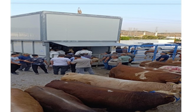 B&uuml;y&uuml;kşehir&rsquo;den bayramda g&uuml;venli ve hijyenik kesim hizmeti