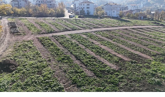 B&uuml;y&uuml;kşehir&rsquo;den G&ouml;lc&uuml;k&rsquo;e yeni mezarlık alanları
