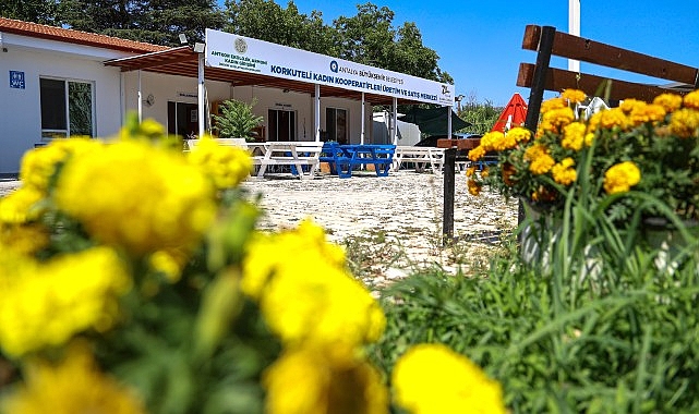 B&uuml;y&uuml;kşehir&rsquo;den kadınlara &uuml;retim desteği