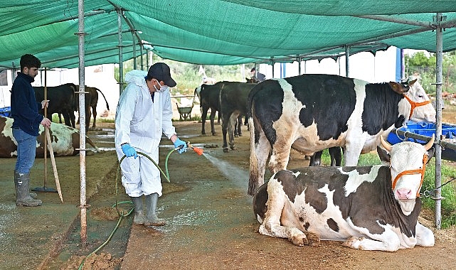 B&uuml;y&uuml;kşehir'den kurban satış alanlarında ila&ccedil;lama