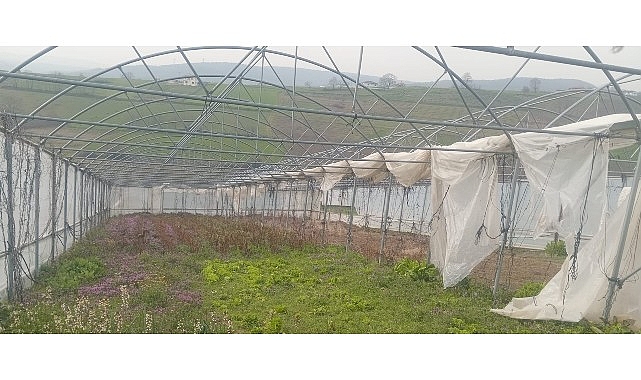 B&uuml;y&uuml;kşehir&rsquo;den seraları zarar g&ouml;ren &uuml;reticilere destek