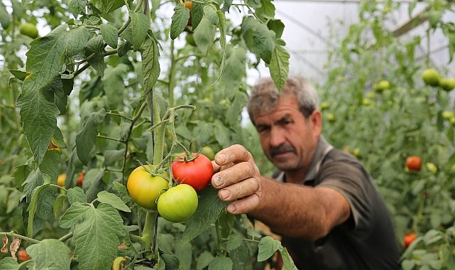 B&uuml;y&uuml;kşehir&rsquo;den y&uuml;zde 50 hibeli sera desteği