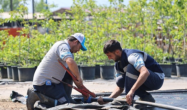 B&uuml;y&uuml;kşehir'in fidanlığı Kocaeli'ni yeşillendiriyor