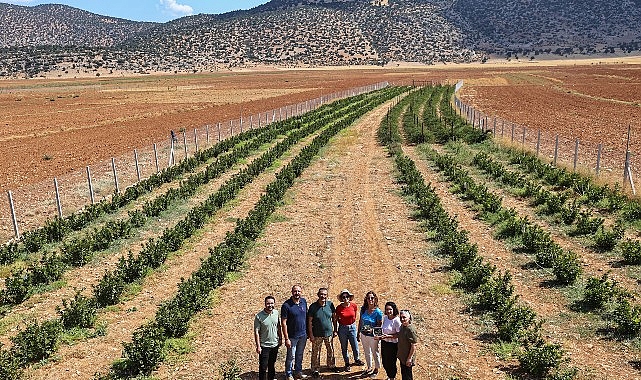 B&uuml;y&uuml;kşehir&rsquo;in hibeleri &uuml;reticinin y&uuml;z&uuml;n&uuml; g&uuml;ld&uuml;rd&uuml;