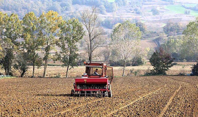 B&uuml;y&uuml;kşehir'in hibeli tohumları toprakla buluştu