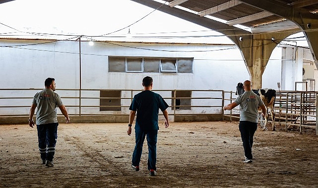 B&uuml;y&uuml;kşehir&rsquo;in kurban yakalama timi g&ouml;reve hazır