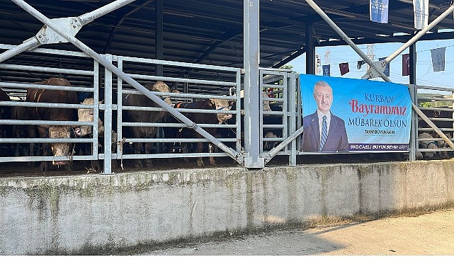B&uuml;y&uuml;kşehir&rsquo;in modern mezbahasında kurbanlar kesiliyor